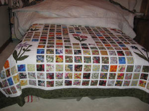 Prints Charming dhpc